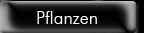 Pflanzen