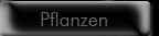 Pflanzen